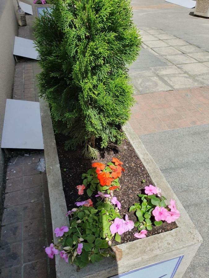 Apartment Resavska Belgrad Exterior foto